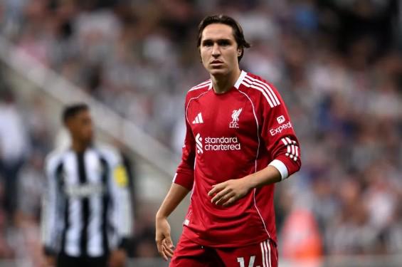 刘少昂斩获,短道速滑世,界杯男子,世界杯预测,2026世界杯,赛果分析,球队实力,热门球队